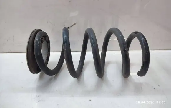 Tesla Model Y Rear coil spring 118847400B