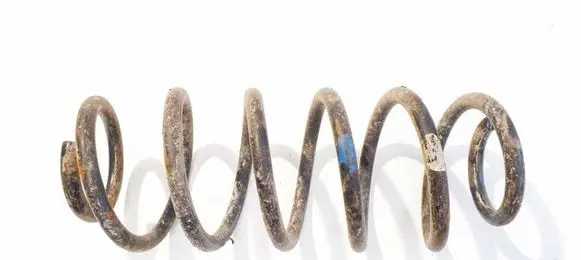 Rear coil spring