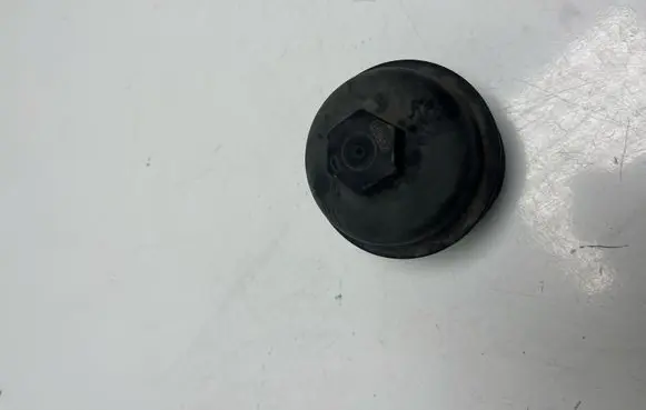 Opel Vivaro Oil filter cover 8558694