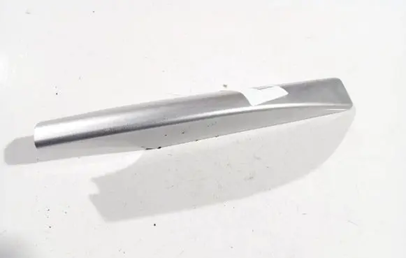 Infiniti QX50 (J50) Other interior part 738701ba1a