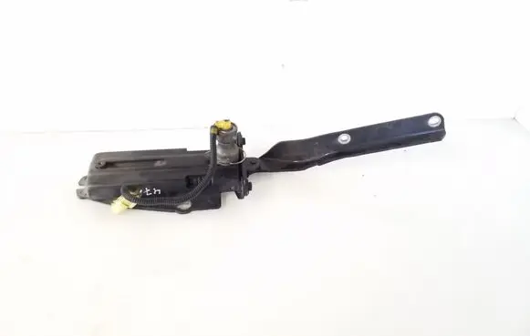 Citroen C6 Engine bonnet/hood hinges