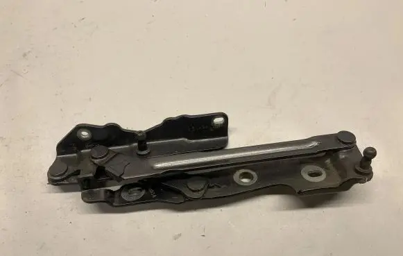 Ford Mustang VI Tailgate/trunk/boot hinge 008D3A
