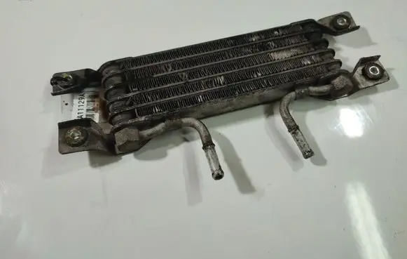 Opel Antara Engine oil radiator 