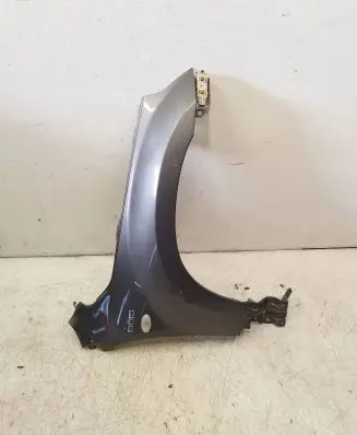 Suzuki Grand Vitara II Fender