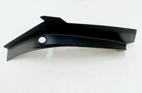Rear/tail light trim molding