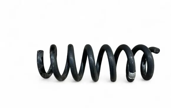 Rear coil spring