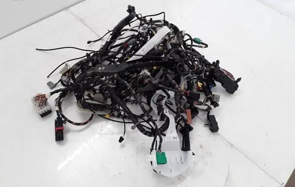 Other wiring loom