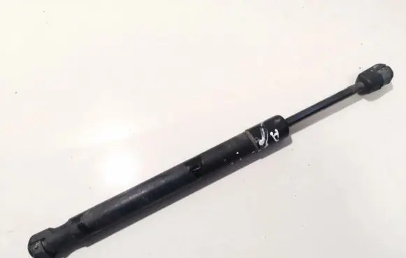Tailgate/trunk strut/damper