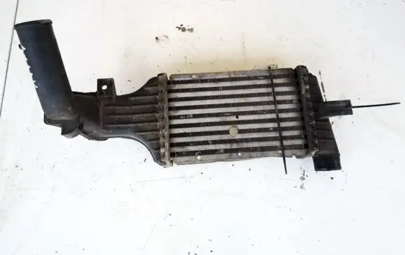 Intercooler radiator