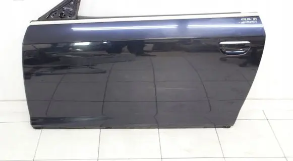Audi A3 S3 8P Rear door