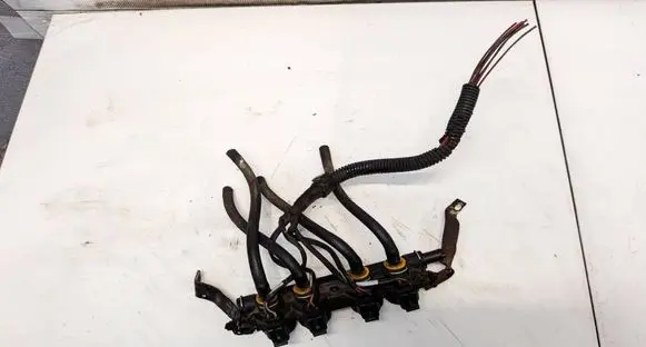Skoda Roomster (5J) LP gas injector 110R000123