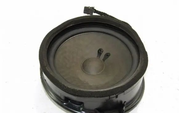 Rear door speaker