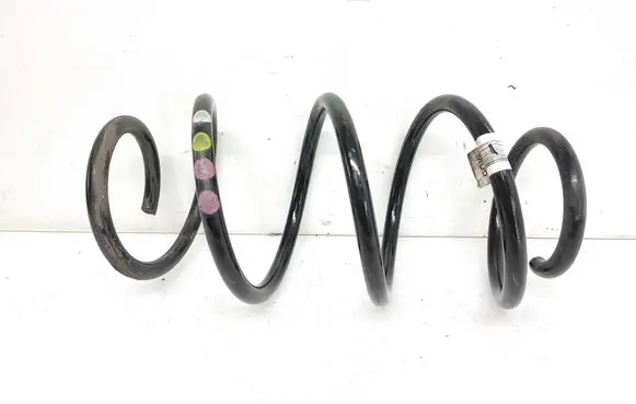 Front coil spring