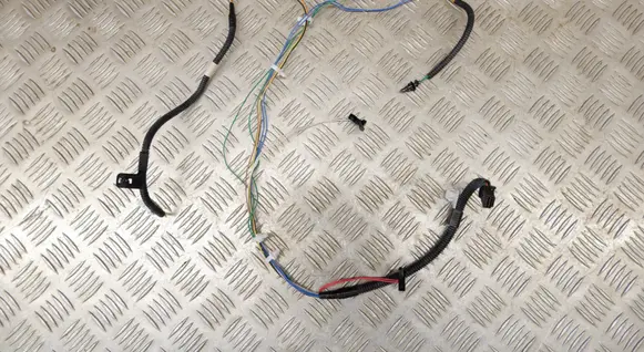 Other wiring loom