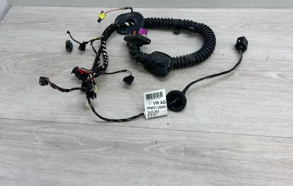 Front door wiring loom