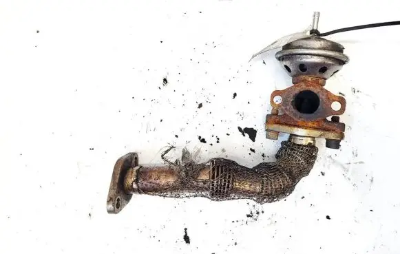 EGR valve