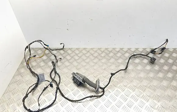 BMW 5 F10 F11 Rear door wiring loom 9240898 2922984 EGB557