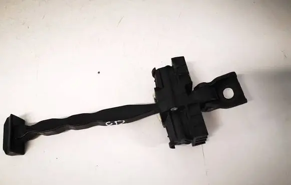 Audi Q4 e-tron Rear door check strap stopper 