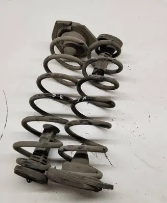 Rear coil spring