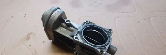 Volkswagen Touareg I Throttle valve 07Z128069A