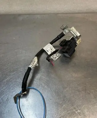 Dacia Sandero III Other wiring loom DODACIASANDEROIII3