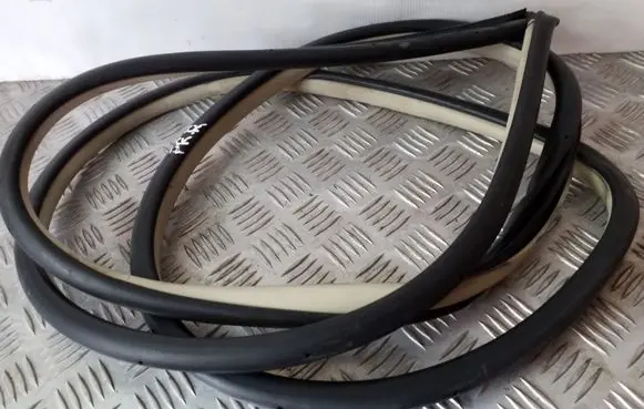 Infiniti EX Front door rubber seal