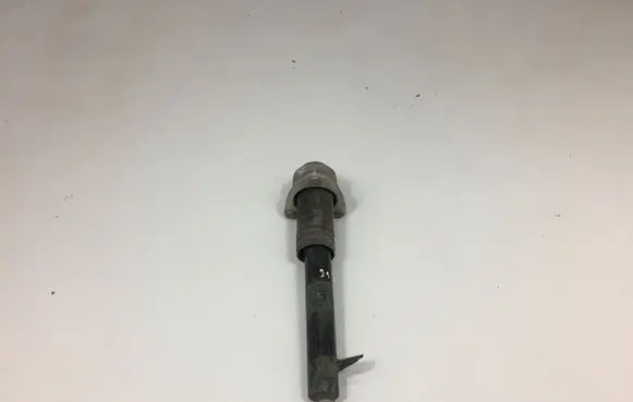 BMW X6 E71 Rear shock absorber/damper 6783018