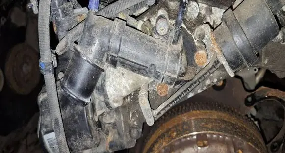 Fiat Doblo Engine coolant pipe/hose 0428741