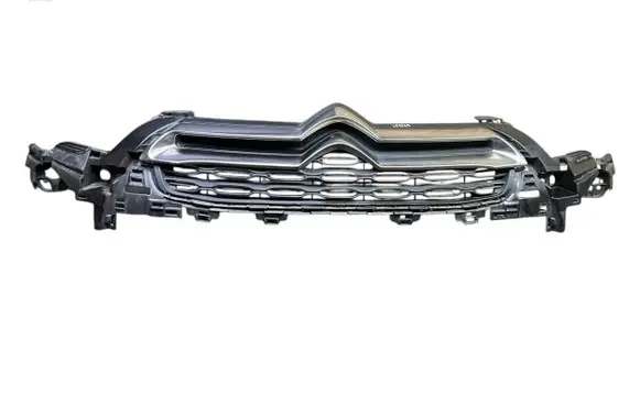 Citroen DS4 Front bumper upper radiator grill 02491524