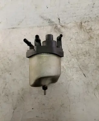 Citroen DS5 Fuel filter housing 9672314989 022412
