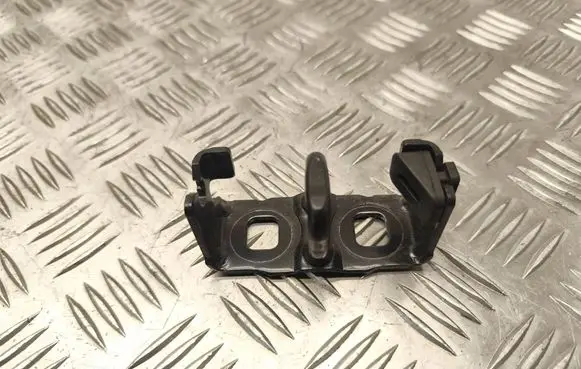 Renault Megane III Trunk lock loop 40207170