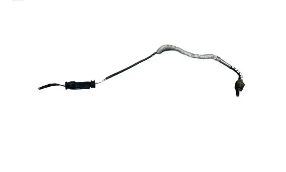 Volvo S60 Exhaust gas temperature sensor 31319841 1146402904554
