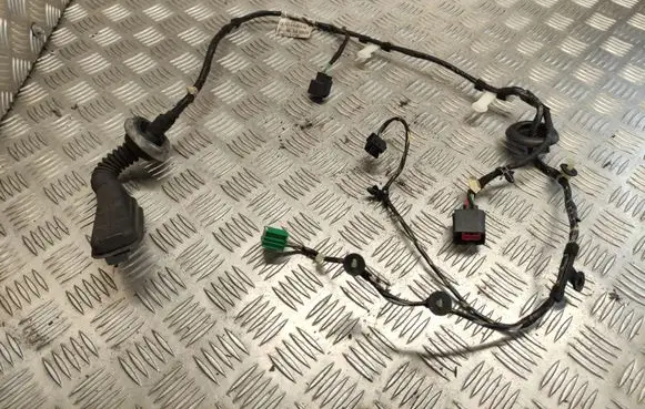 Rear door wiring loom