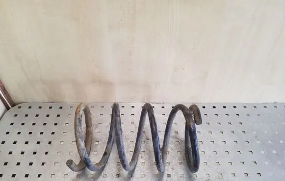 Front coil spring