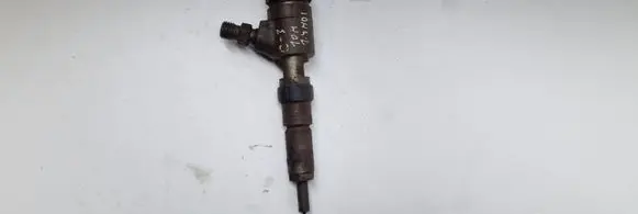 Citroen C3 Fuel injector 0445110339
