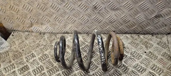 Volkswagen Bora Rear coil spring 