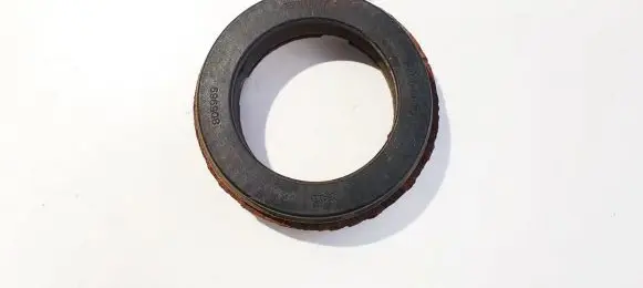 Coil spring mount