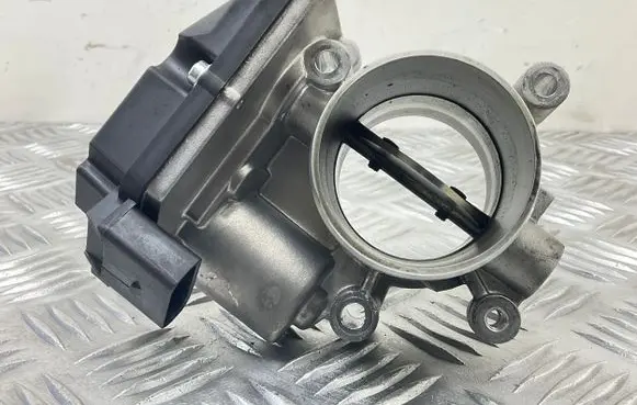 Volkswagen Tiguan Throttle valve 70650021 2999963 230425