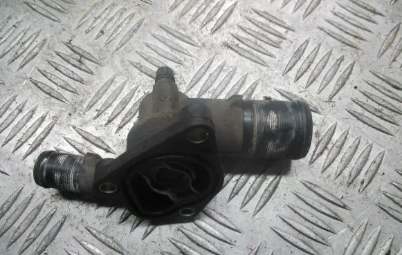 Thermostat/thermostat housing