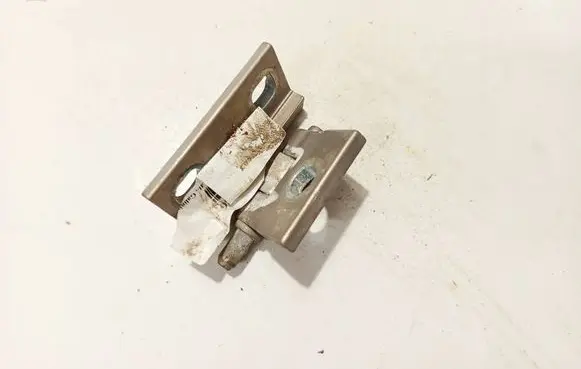 Rear door lower hinge