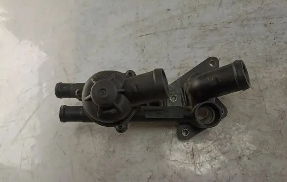Thermostat/thermostat housing