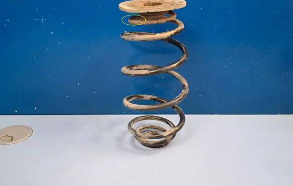 Rear coil spring