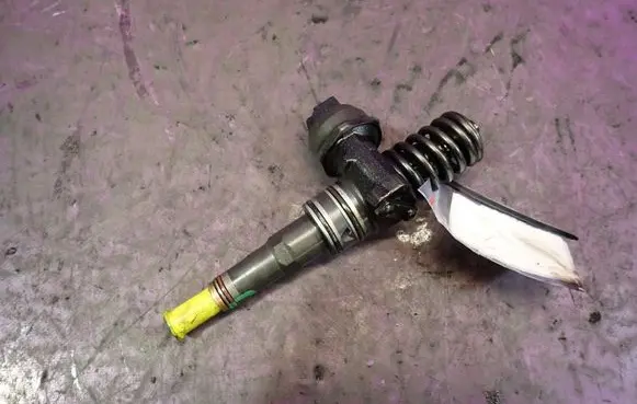 Volkswagen PASSAT B5.5 Fuel injector 