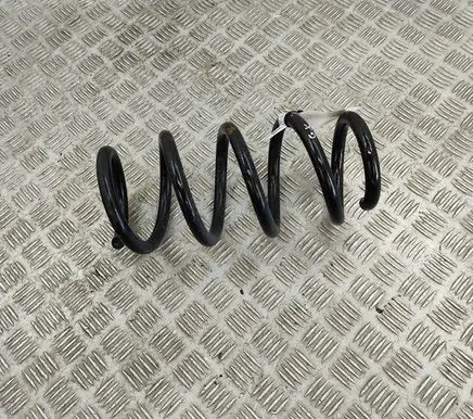 Tesla Model 3 Rear coil spring 104447291E