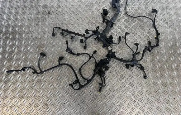 BMW X1 F48 F49 Engine installation wiring loom 8593228