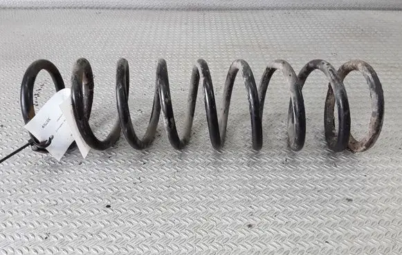Front coil spring