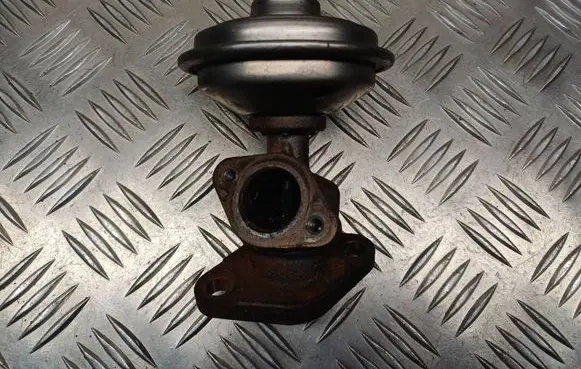 EGR valve