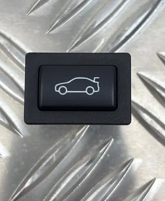 BMW X1 E84 Tailgate opening switch 9200316