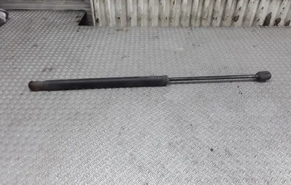 Tailgate/trunk strut/damper