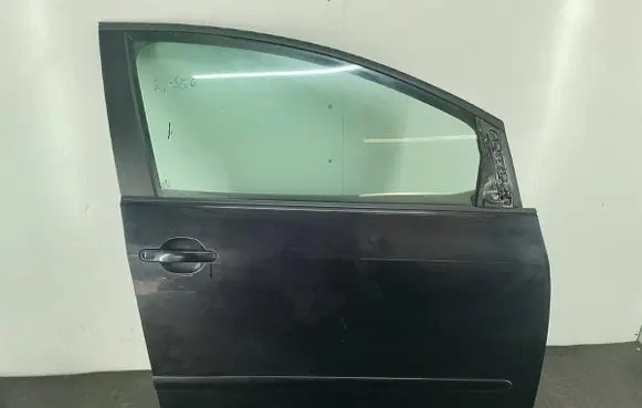 Volkswagen Golf Plus Front door